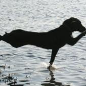 6f6fbed195db08337d37e5e9a4cf965a9270dc0e